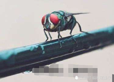 假面骑士中的暴躁老哥,一直嘴臭一直爽,还被做成表情包!