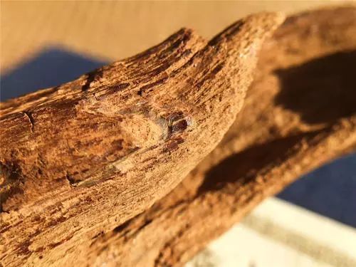 沉香排名_沉香产地等级排名(2)