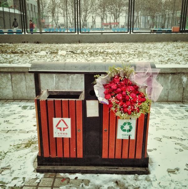 为何"情人节",很多女生垃圾桶旁捡花,可能"世风日下"