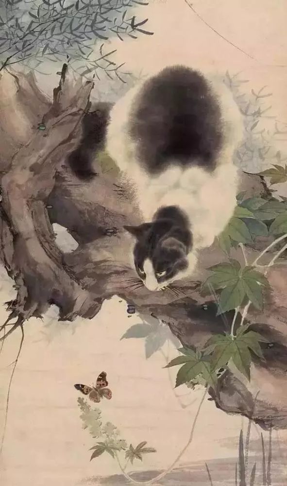 四大国画名家画猫,活灵活现