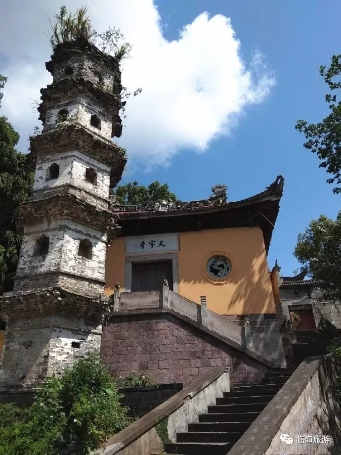 漫步戚公祠,赞山门巍峨,赏古树苍劲,寻觅百年风云历史.