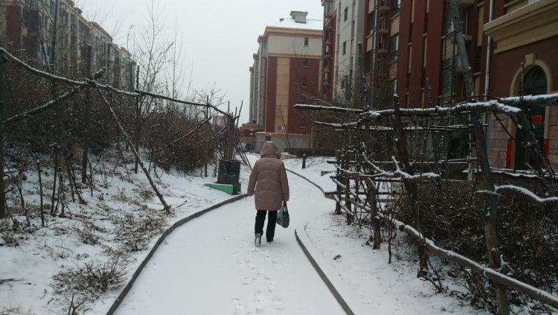 盼了一冬天,"贫雪"的长春终于下雪了