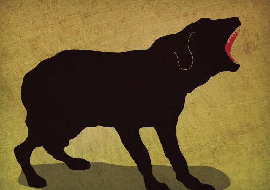 猎豹的作用有多大?数据分析表示,它每年能减少