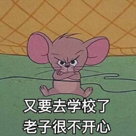 19年00后开学必备表情包:开开心心新学期 认认真真搞