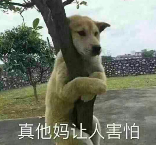 00后不能没有的沙雕表情包,笑死人不偿命,网友:天秀!
