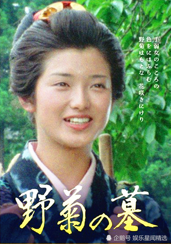 小编的话"花大者为甘菊,花小而苦者为野菊.