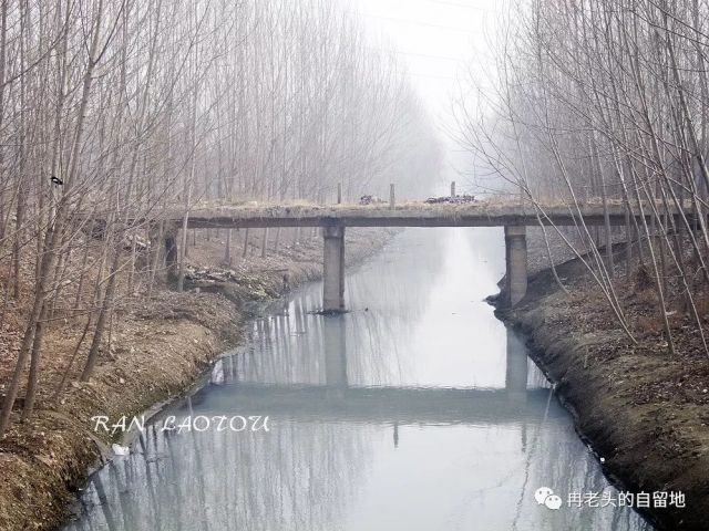 洙水村人口_洙水河改造图(2)