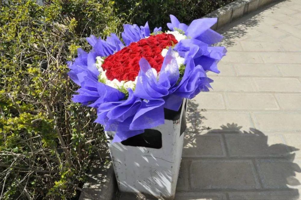 垃圾桶的"玫瑰花",捡回家插土里,变成了小花园!