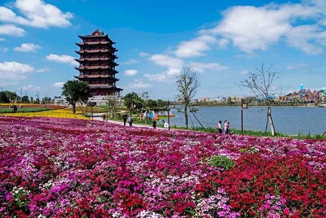 气温飚至28℃!重庆这10个赏花踏青圣地,好看好耍今天就出发!