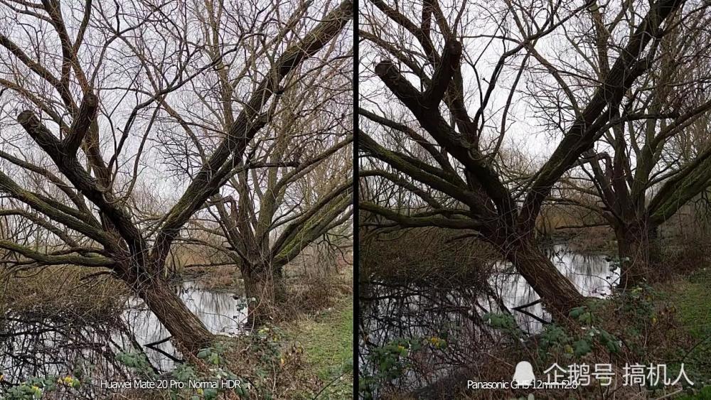 华为Mate20Pro与松下GH5价格相差5千多:拍照