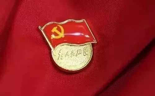 【党建课堂】党员同志们,你的党徽佩带正确了吗?