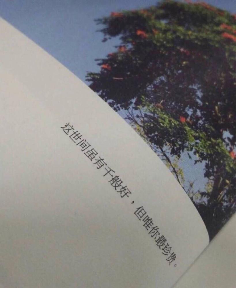 ins禁欲系·干净·背景图: 这世间虽有千般好,但唯你