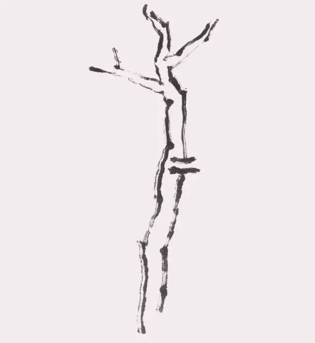 基础技法|常用的6种树干的画法