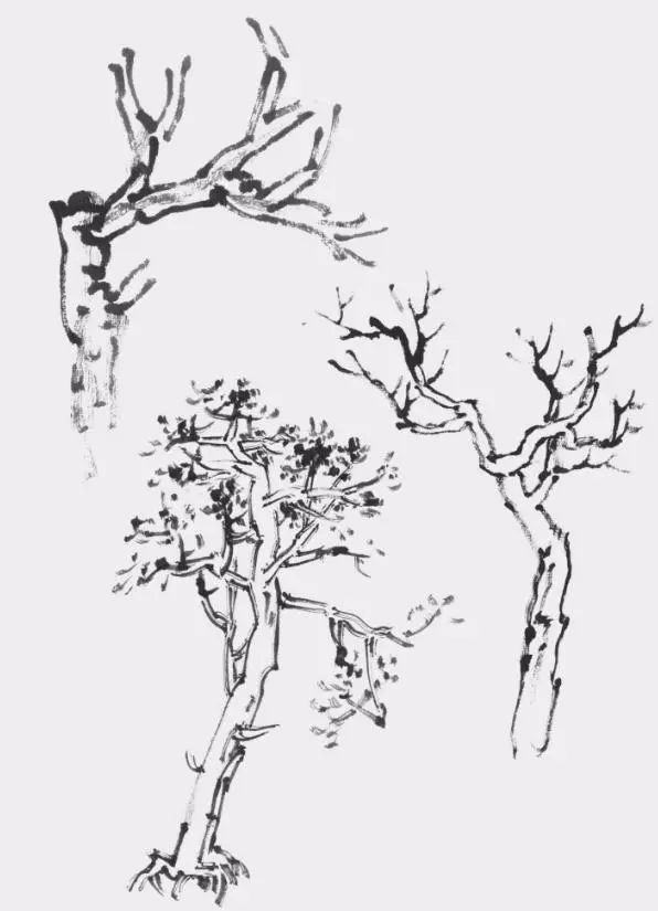 基础技法|常用的6种树干的画法