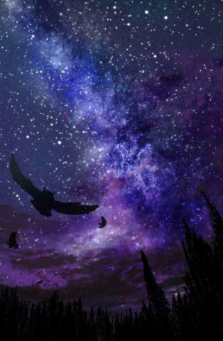 星空·空灵壁纸:我给你指条明路,来我心里!