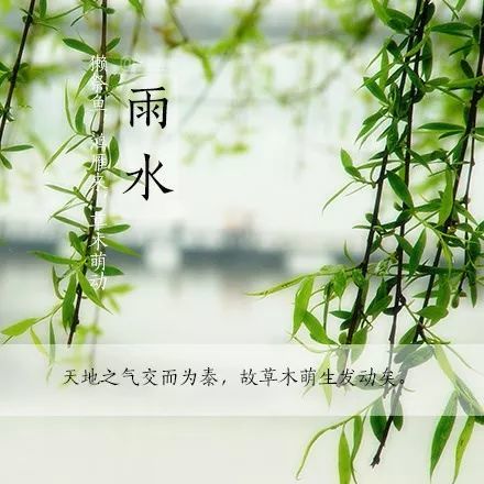 天一生水,春风化雨,24节气"雨水"将至!