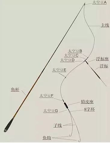 如何挑选和使用太空豆是门大学问,不得不服