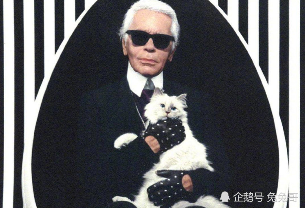 老佛爷生前曾谈及对葬礼的想象:希望部分骨灰和爱猫在一起