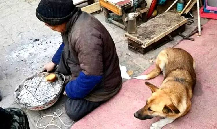 狗不嫌家贫的最高境界,你赏我一口冷饭,我当你