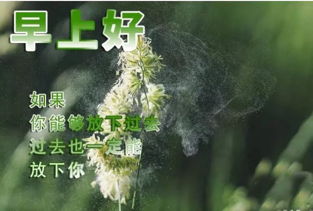 2019微信早上好动态问候图片带字,早安暖心正能量祝福