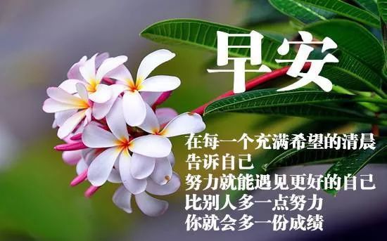 新的虎年早上好问候语图片大全早晨表情动态图