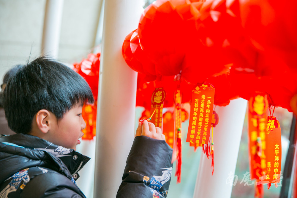 买不到元宵节故宫夜场门票,我们就自己玩