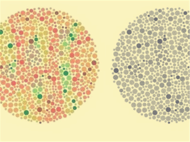 重度色盲人口_色盲测试图(3)