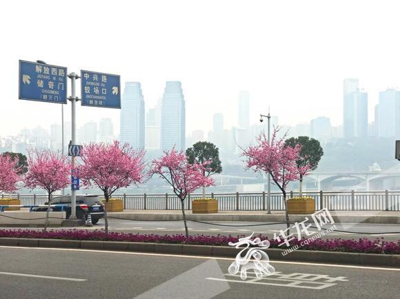 今明重庆逐渐放晴 最高气温暖至17℃_大渝网_