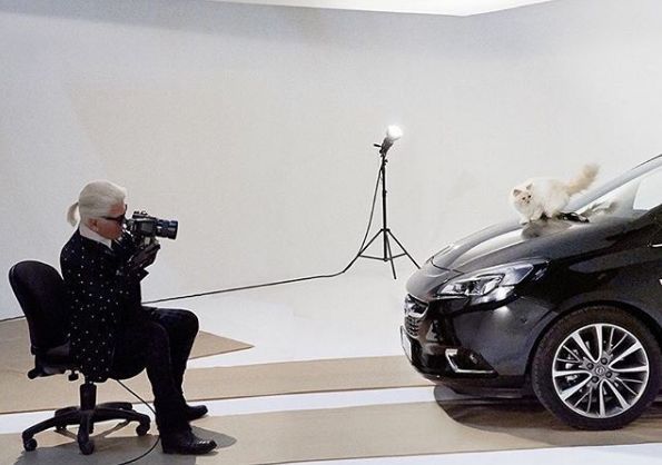 爱猫如命的老佛爷 去世后也要和他的宠物在一