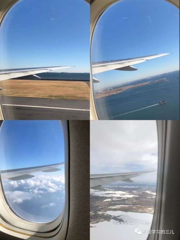 己亥年正月于北海道 看点快报