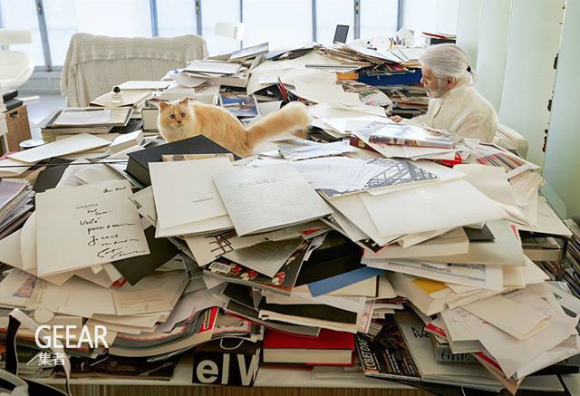 老佛爷的遗产继承人是一只猫!他逝世后挚爱的