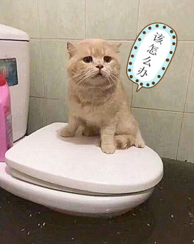640
