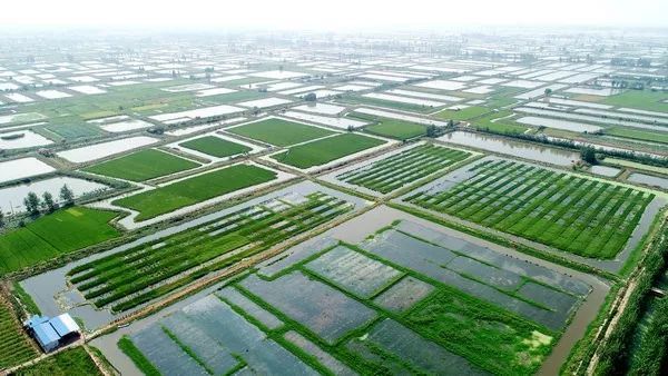 洪湖gdp_洪湖推动交通建设大跨越 争当经济发展先行军