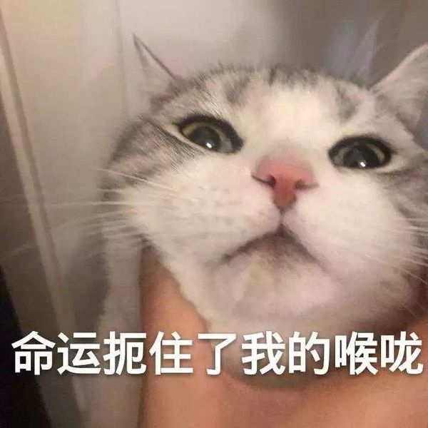 我都是怎样被自己作死的?