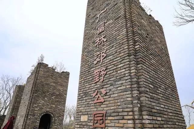 上海泗泾镇gdp_上海夜景(3)