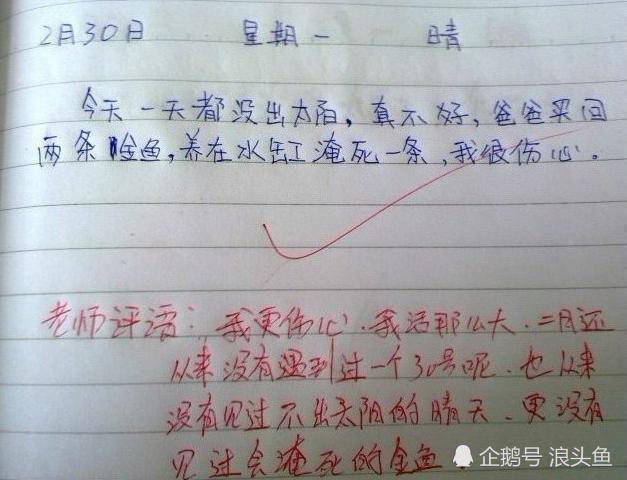 搞笑小学生日记:气死老师,家长追着打!