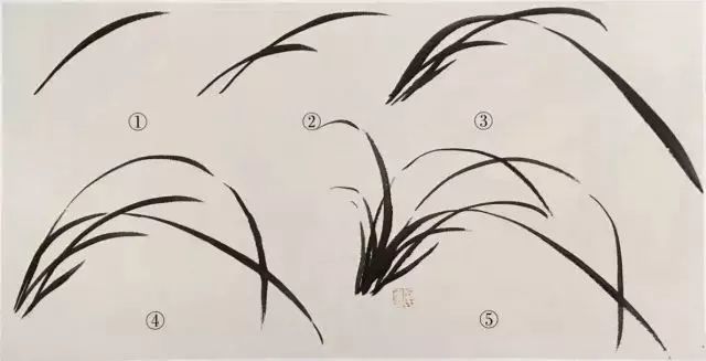 国画教程——如何画好兰花?