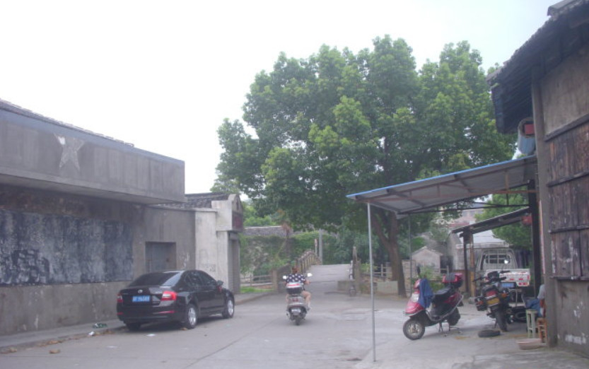 海盐人口面积GDP_海盐蛋糕图片(2)