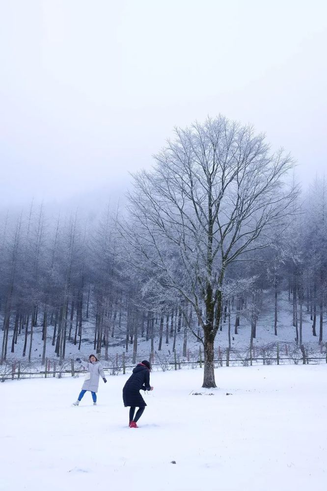 曾家山的雪