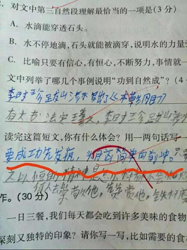 小朋友的奇葩造句 走红 语文老师气得头晕 父母看了追着打 看点快报
