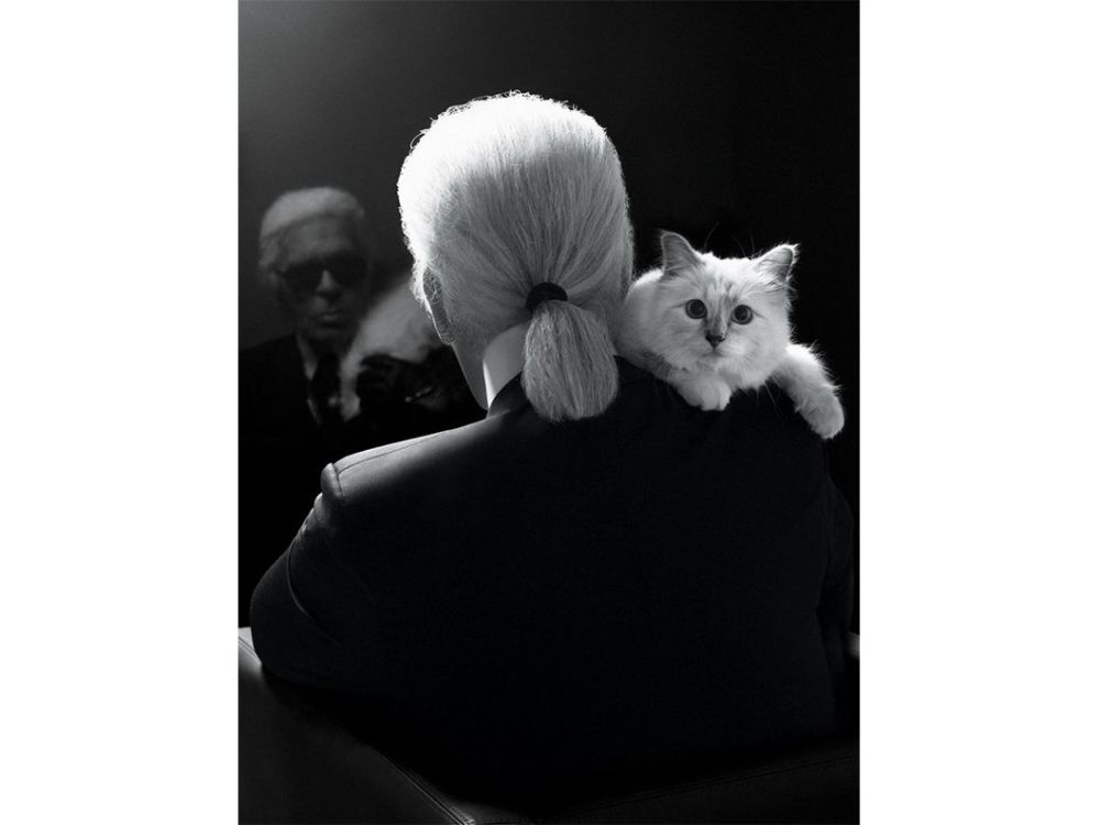 这是一对什么版本的Air Max?