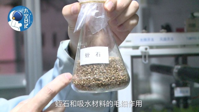 中國人首次在太空種菜 生菜都長這么大了2