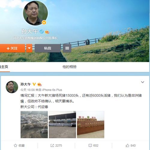 河北大午集团孙大午被抓曾自曝自家猪场爆发非瘟疫情