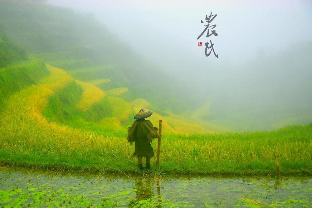 世界上最勤劳的人是中国农民,最贫穷的还是中国农民