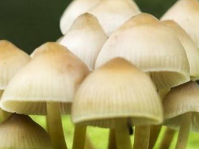 640