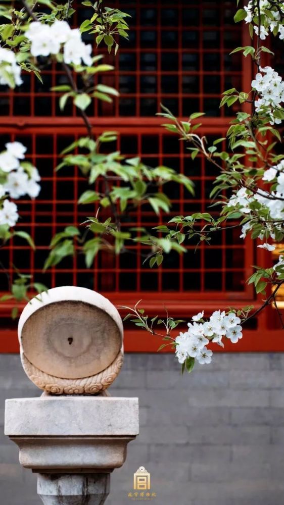 故宫摄影大赛开赛啦,点击查看参赛攻略