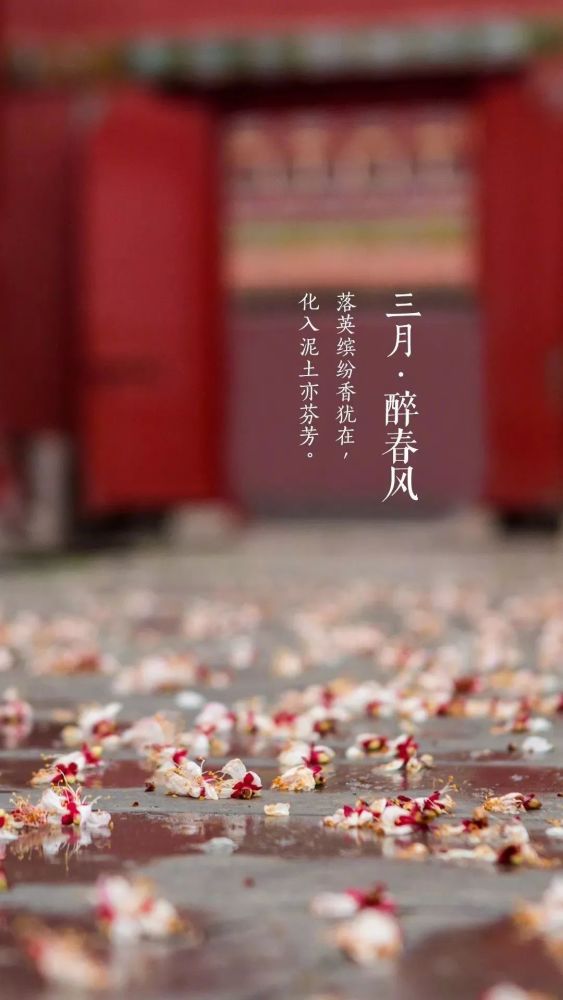 故宫摄影大赛开赛啦,点击查看参赛攻略