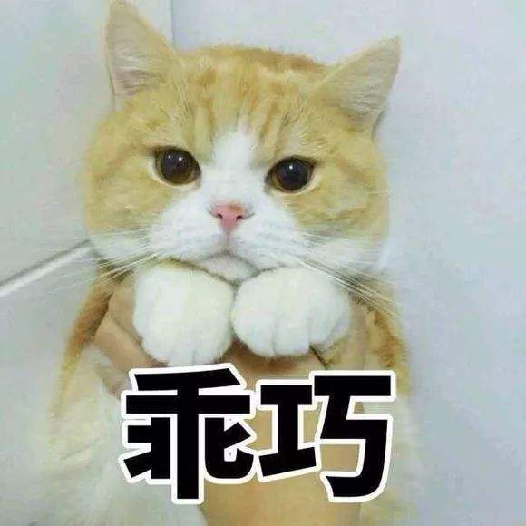 可爱猫咪卖萌表情包!