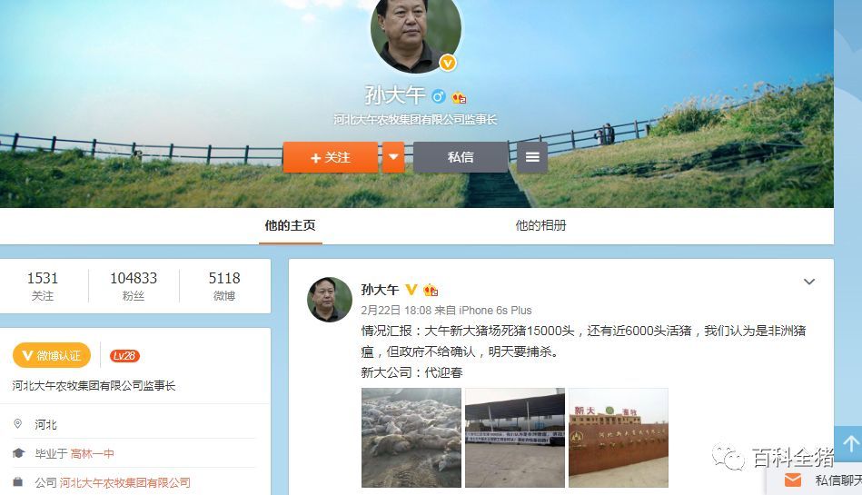 保定非洲区发生徐水猪瘟疫情!炒春笋鲜美图片
