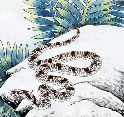 3月春光无限好!这3属相下个月风雨不来,风光无